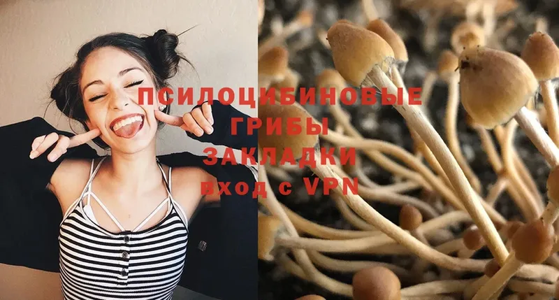 Псилоцибиновые грибы Psilocybe Алексеевка